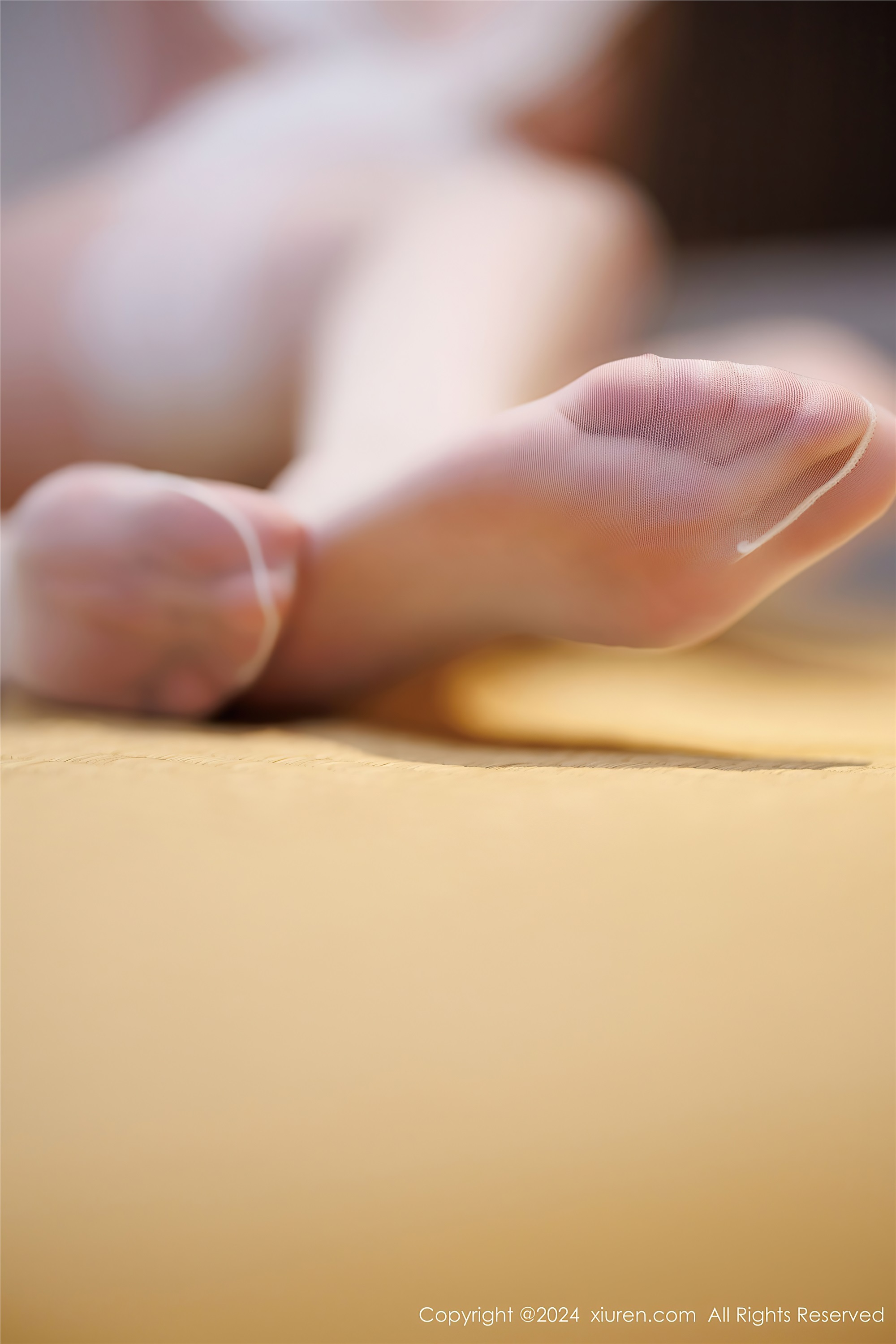 Xiuren秀人网 2024.11.29 NO.9526 梦心玥